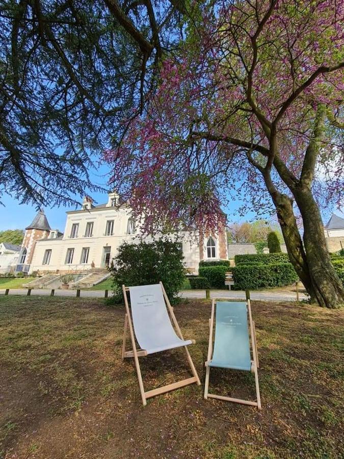 Chateau Des Basses Roches Otel La Chaussée-Saint-Victor Dış mekan fotoğraf