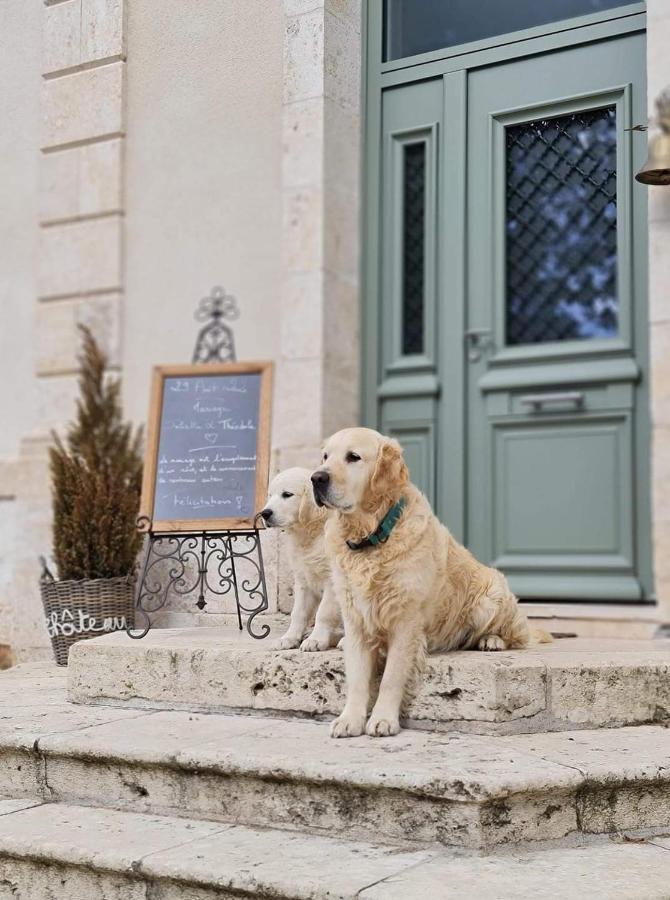 Chateau Des Basses Roches Otel La Chaussée-Saint-Victor Dış mekan fotoğraf