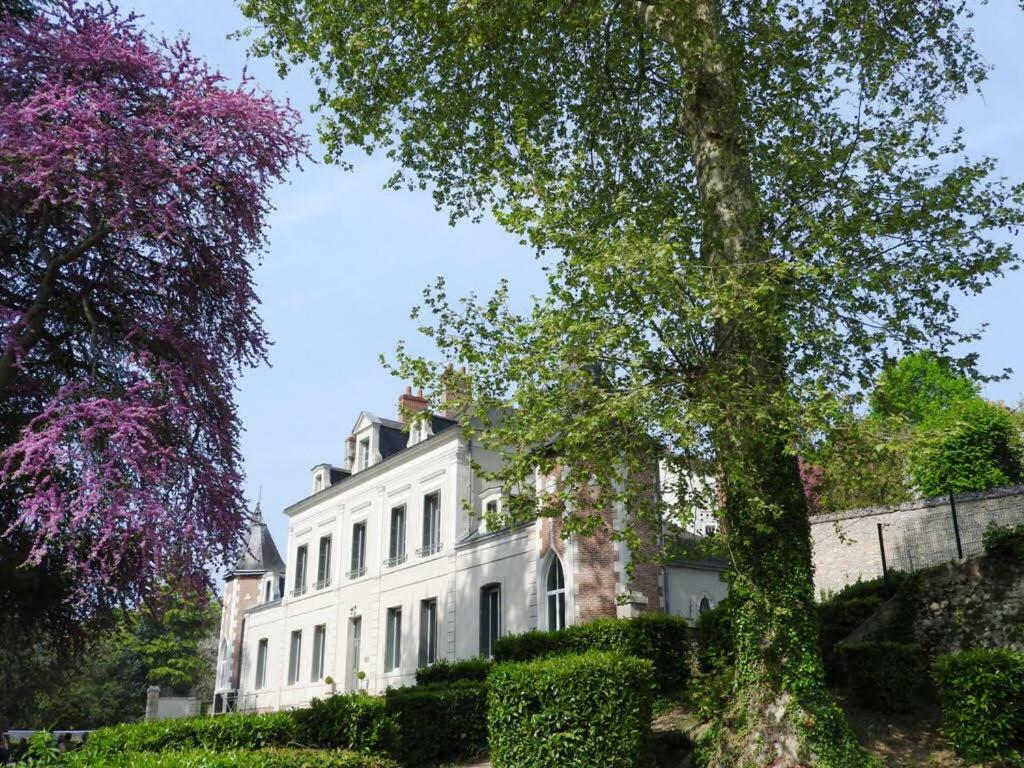 Chateau Des Basses Roches Otel La Chaussée-Saint-Victor Dış mekan fotoğraf